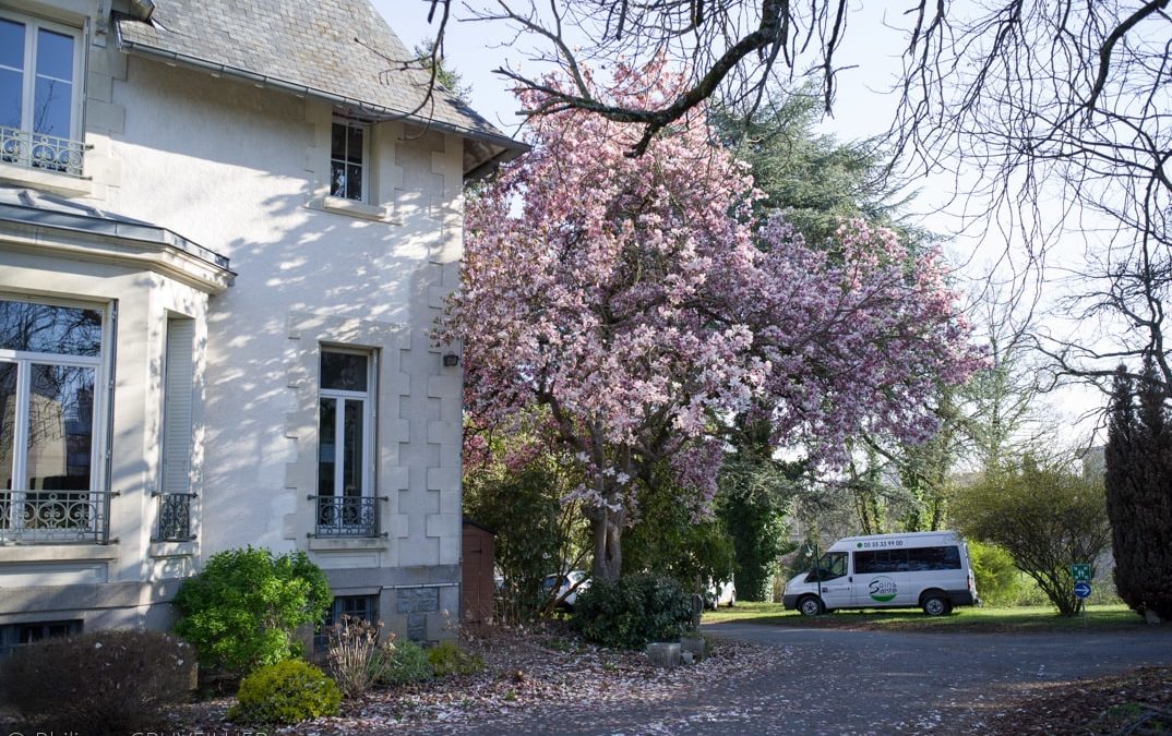 Le Printemps s’invite au Castel Marie