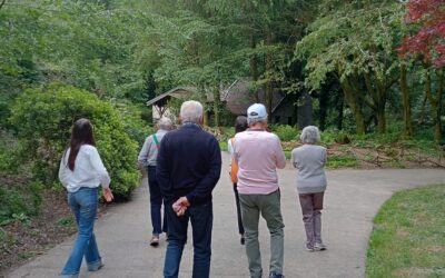 Visite du parc du moulin Pinard