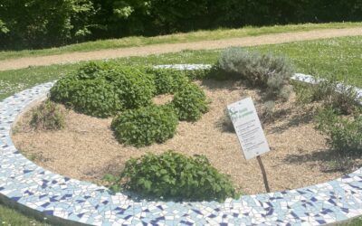 Le jardin des sens