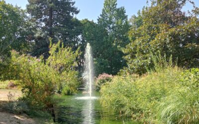 Sortie au Parc Victor Thuillat